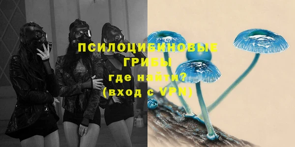 PSILOCYBIN Арсеньев