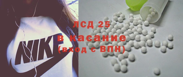 шишки Осинники
