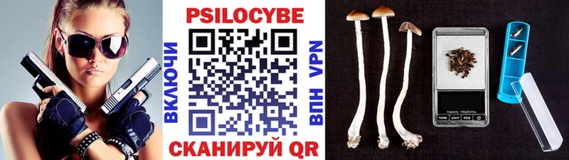 Галлюциногенные грибы Cubensis  купить наркоту  KRAKEN зеркало  Сельцо 
